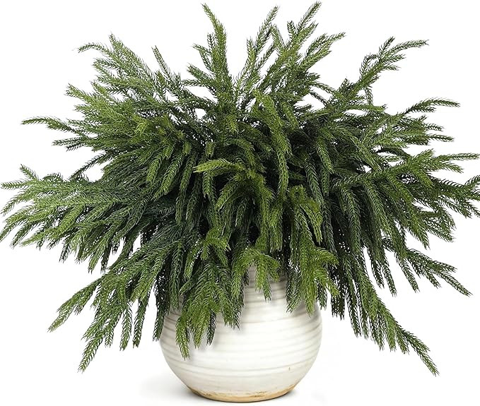20 Pcs Christmas Norfolk Pine Branches -18" Real Touch Artificial Norfolk Pine Branch Faux Plants... | Amazon (US)