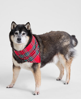 Holiday Lane Brinkley Plaid Pet Bandana, Macy's Exclusive - Macy's | Macy's