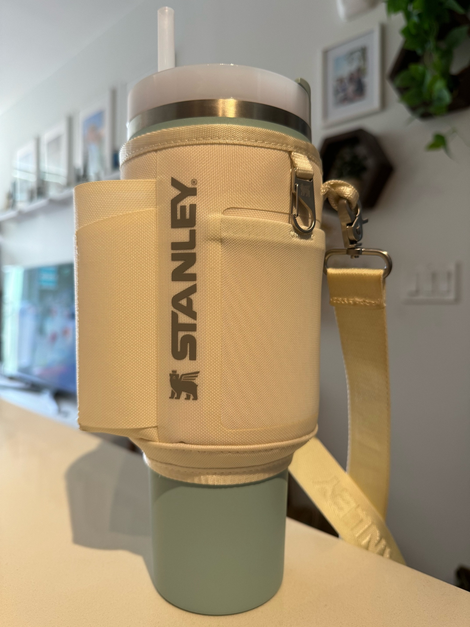 Favorite hydration partner #Stanley ❤️ #hydration #stanleyquencher 

#LTKActive #LTKFindsUnder50