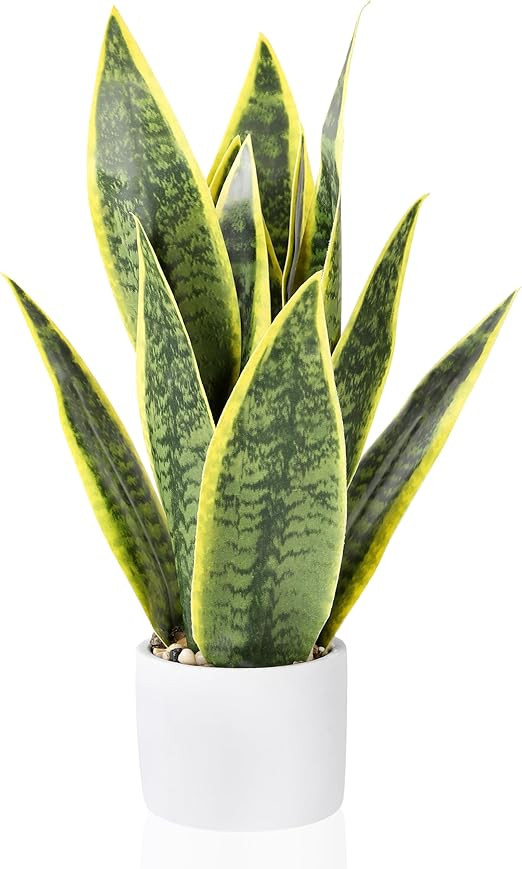 Brand: DUZYXI | Amazon (US)