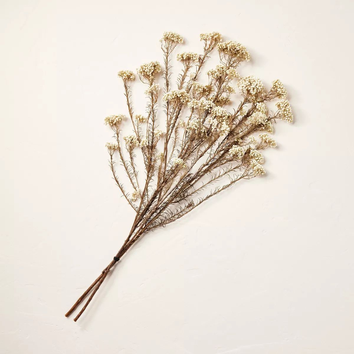 23" Preserved Rice Flower Stems Fall Bundle - Hearth & Hand™ with Magnolia | Target