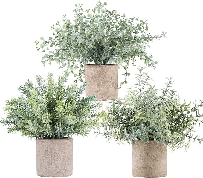 Der Rose 3 Pack Mini Potted Fake Plants Artificial Small Eucalyptus Plants for Home Office Desk R... | Amazon (US)