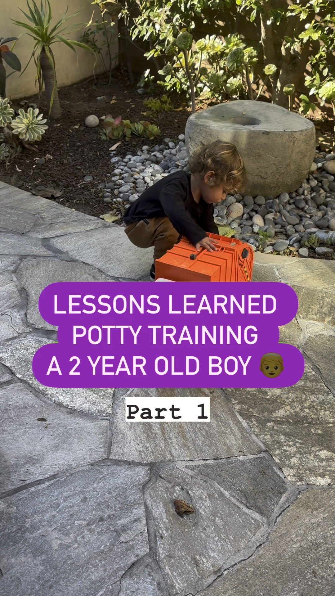 Potty training a toddler boy? These are tips and lessons I’ve learned during the potty training process with our 2 year old. I’m not an expert but a heavy researcher who has compiled these best tips from multiple sources to save you the time and hassle! Products recommended are our favorites after trying multiple brands.

Be sure to size up on the toddler boxers!

Toddler potty training, toddler urinal, potty seat


#LTKSummerSales 

#LTKFamily #LTKKids
