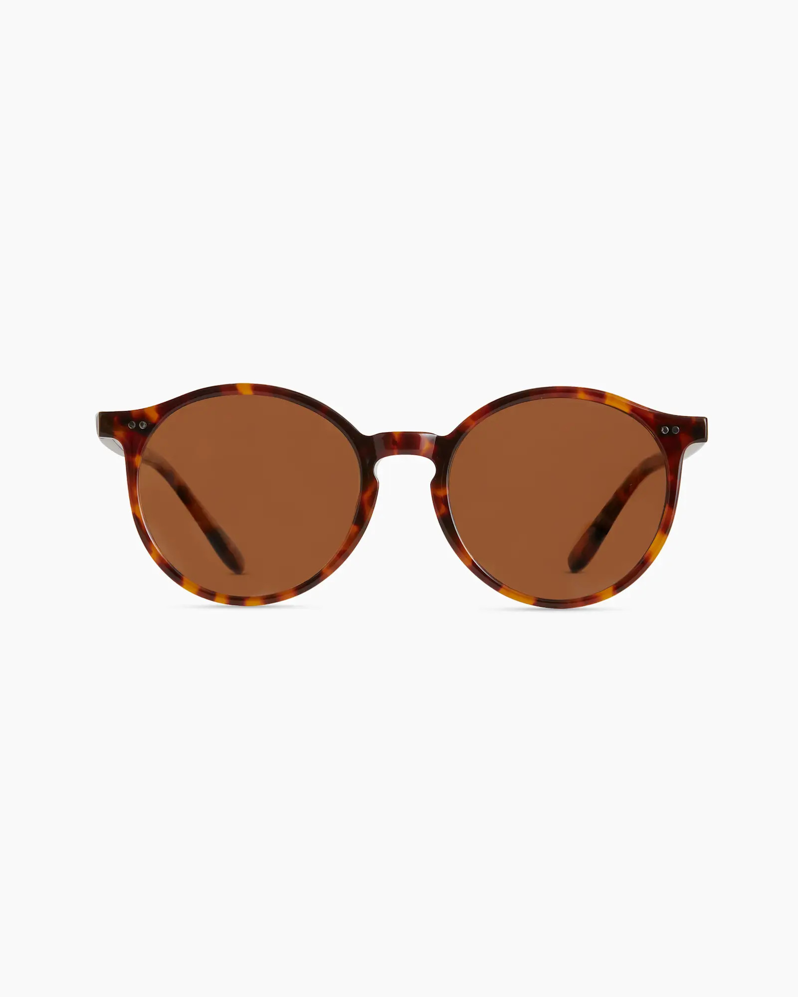Brixton Polarized Acetate Sunglasses | Quince