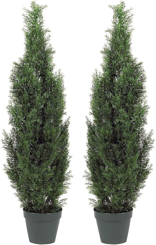 Two Pre-Potted 3' Artificial Cedar Topiary Outdoor Indoor Tree | Amazon (US)