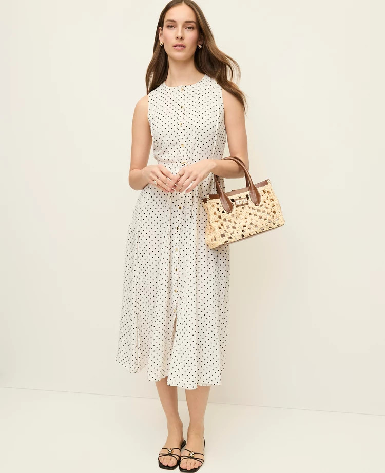Petite Micro Dot Flare Dress | Ann Taylor