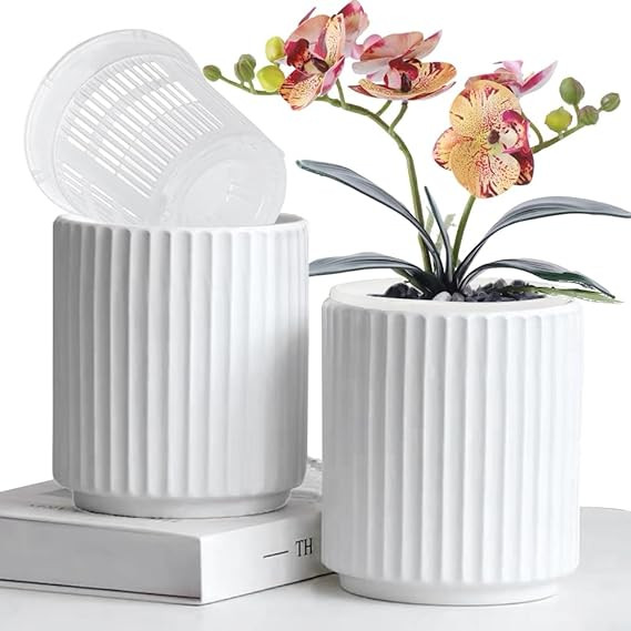 MUZHI Double Layer White Ceramic Orchid Planter with Saucer, Orchid Pots with Holes 4.6" Set of 2... | Amazon (US)