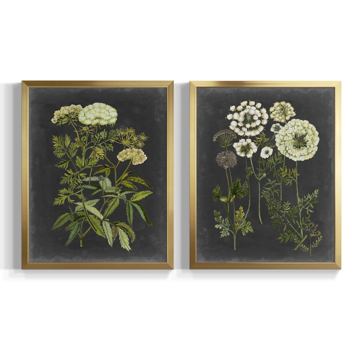 " Bookplate Floral I " 2 - Pieces | Wayfair North America