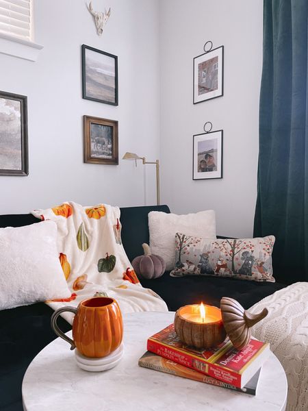 Mini fall decor haul 🍂🤎 linked all of our favorite fall things to make our living room cozy for the season. 

#falldecor #homedecor #fallhomedecor #anthrohome 

#LTKhome #LTKSeasonal #LTKHalloween