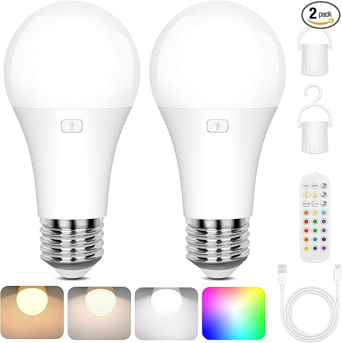 Rechargeable Battery Operated A19 Light Bulb with Remote Control 2 Packs, Dimmable Detachable LED... | Amazon (US)