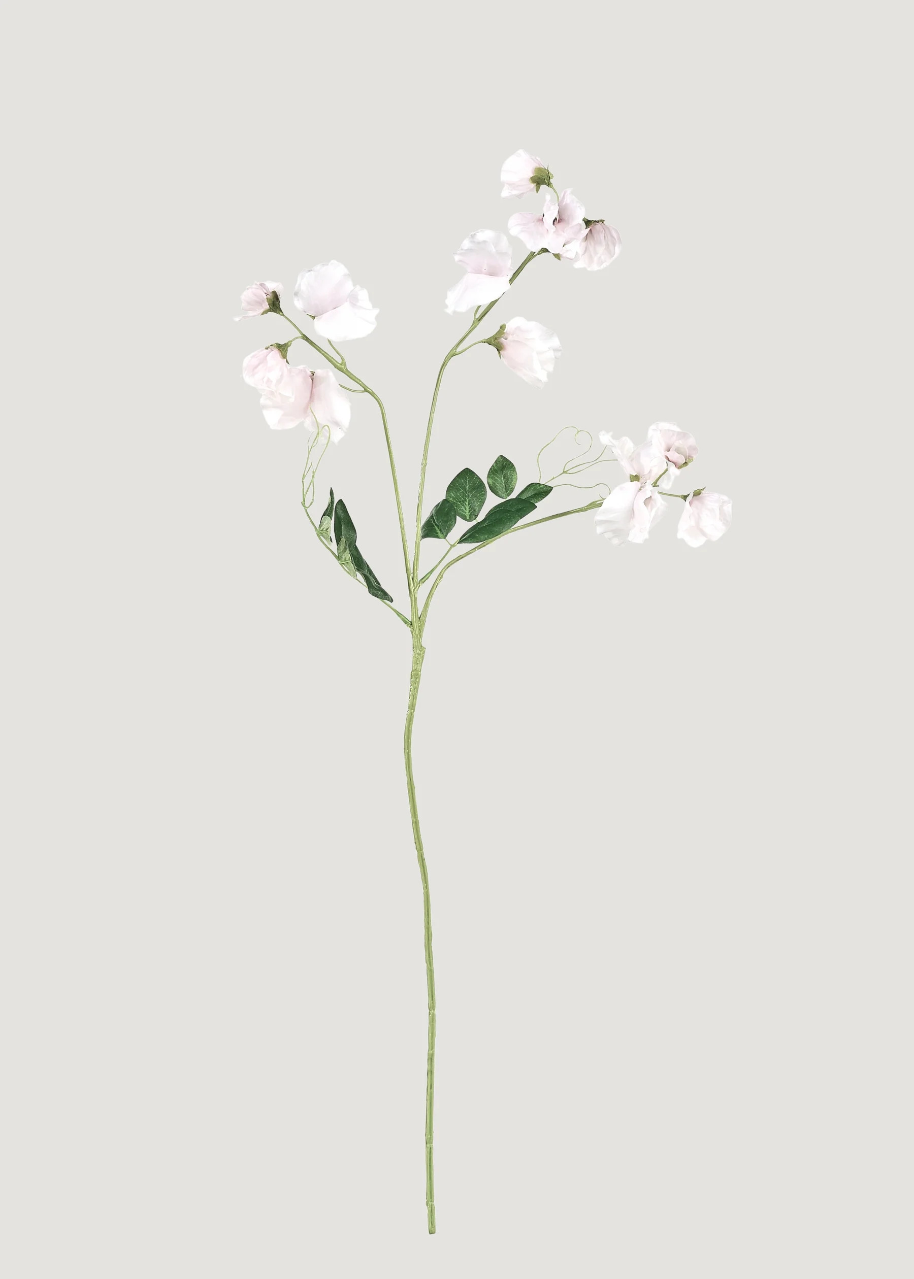 Cream Sweet Pea Flowers | Artificial Wildflowers | Afloral | Afloral