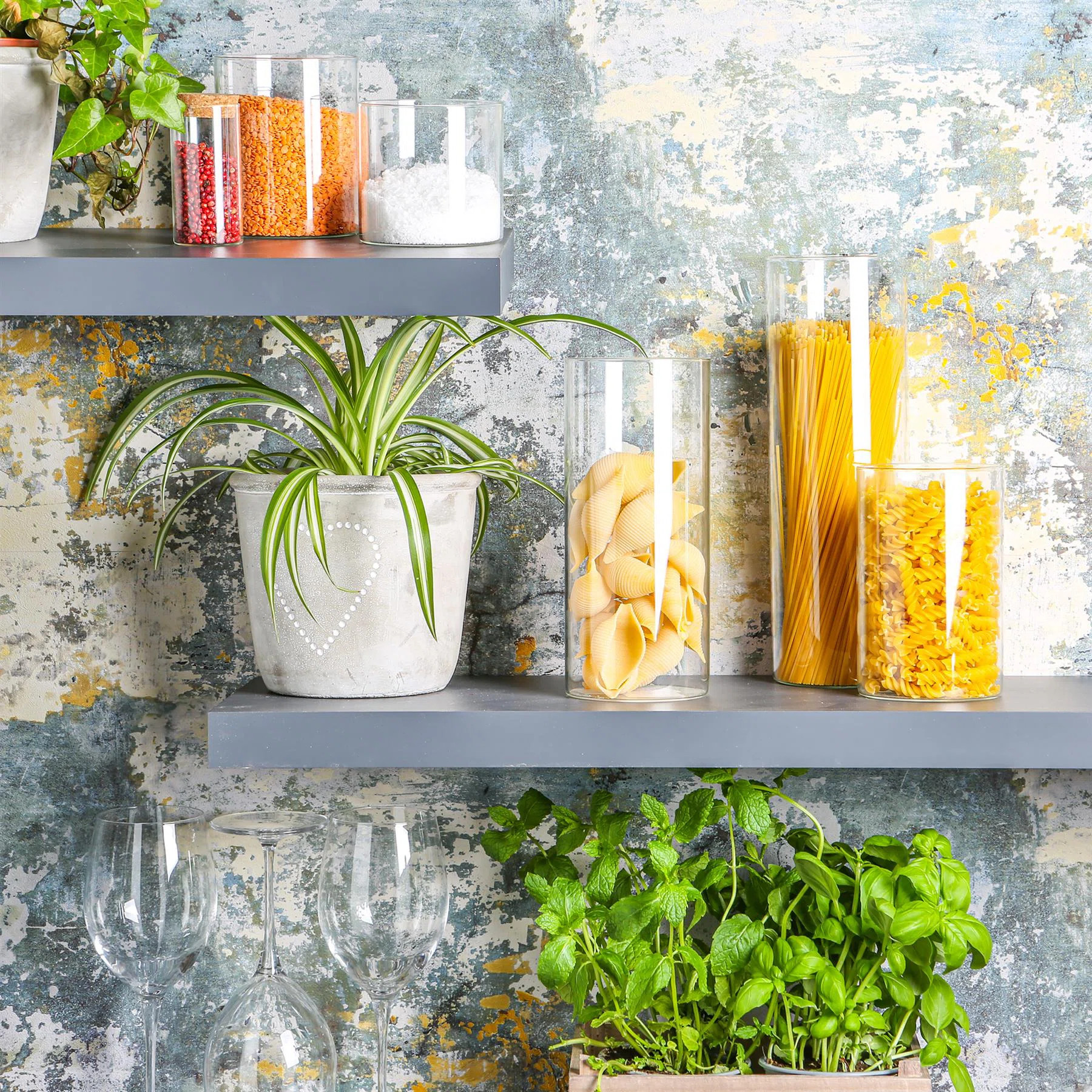 Glass Canister - Set of 6 (Set of 6) | Wayfair UK