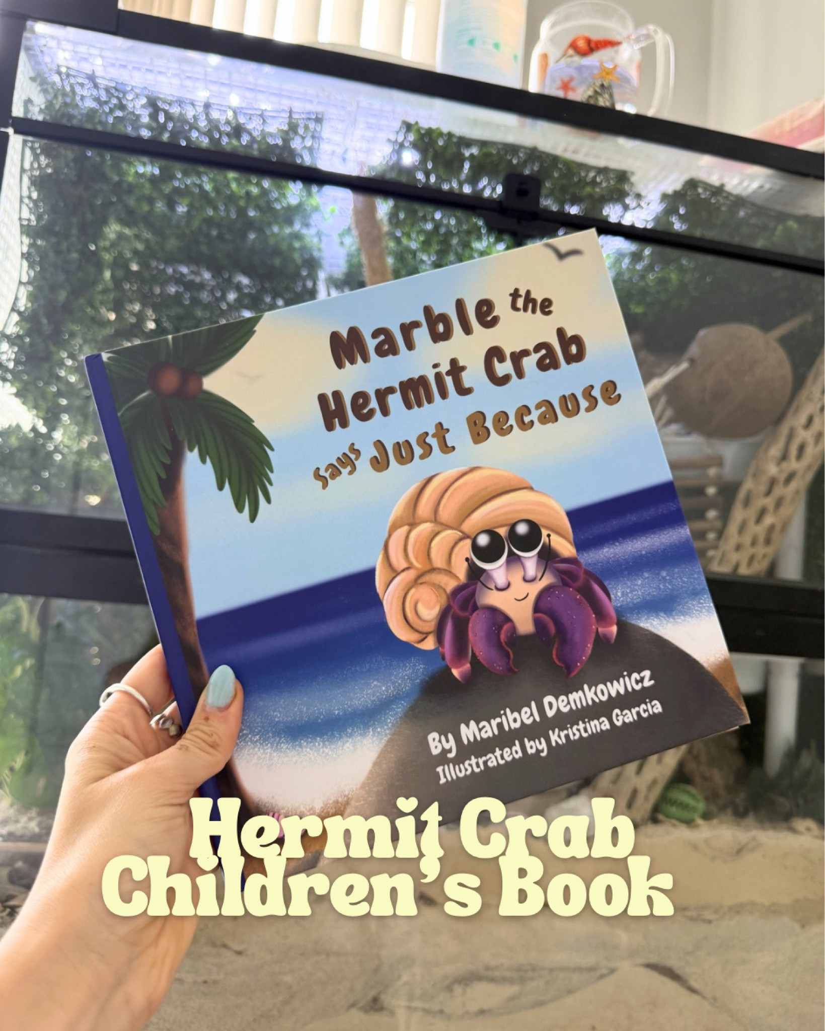 Hermit crab children’s book