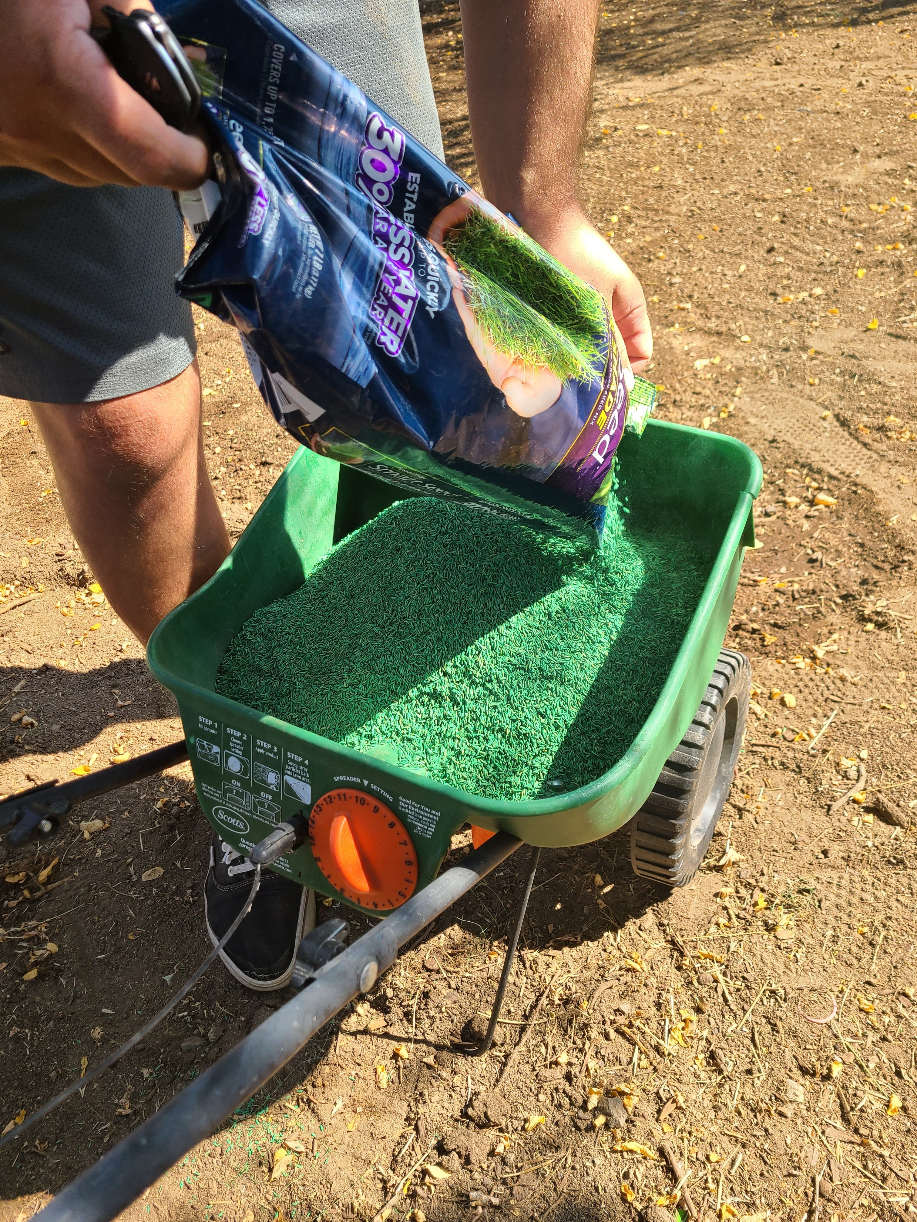 We started with bare dirt and a bag of Pennington shade grass seed. If you have a yard that does not get a ton of direct sun this is the one. Starting from scratch is a process but getting the seed right from the beginning makes all the difference. 

 #LTKHome