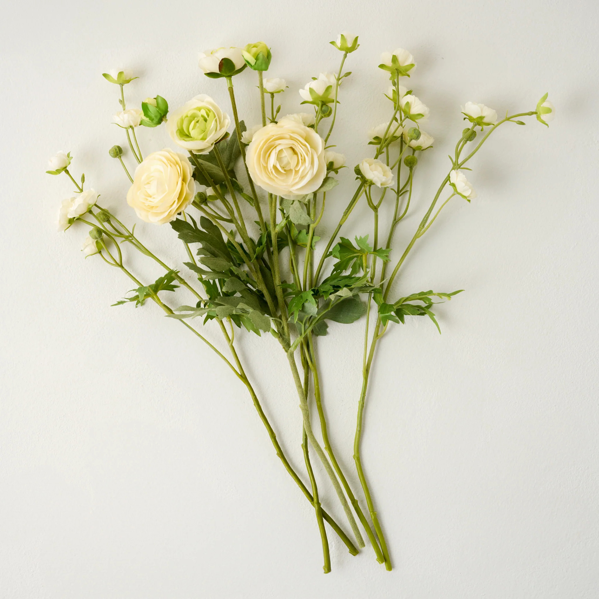 Ranunculus Bloom Bundle | Magnolia