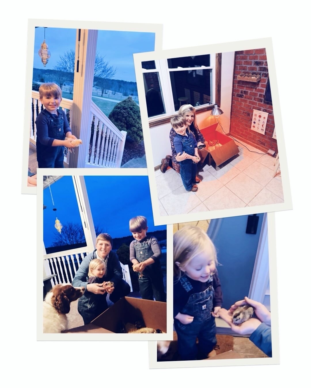 Babies 👶🏼 + baby chicks 🐤 + chickens 🐓 + puppies 🐶 + all kinds of friends over to visit 🌳 and see the farm 🌾 (and meet our baby chickadees 🐥🐥🐥 ) + play dates 🛝 + weekly bible study 📖 group 💒 (& preschool class 🍎 for J!) + watercolor painting 🎨 with stories upon stories 📚🍪 = my kind of week!!! 🫶🏽🐥📦 Thank you, Jesus, for all these blessings and this sweet sweet life you have blessed us with out here on our dream farm - what an actual dream 💭 come true that we are l i v i n g !! 🐣🏡 🚜 #camerarollfromtheweek #lifelately #dreamcometrue #thankyoujesus #fullhousefullerhearts