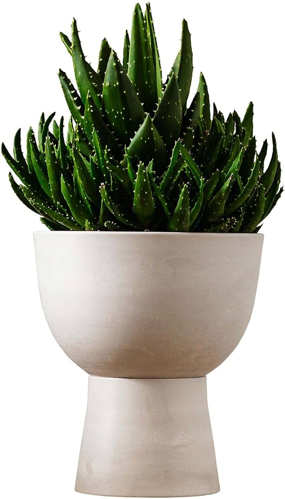 LUXEPORCH 10 Inch Plant Pot with Stand - Mid Century Modern Indoor Planter Pots with Drainage Hol... | Amazon (US)