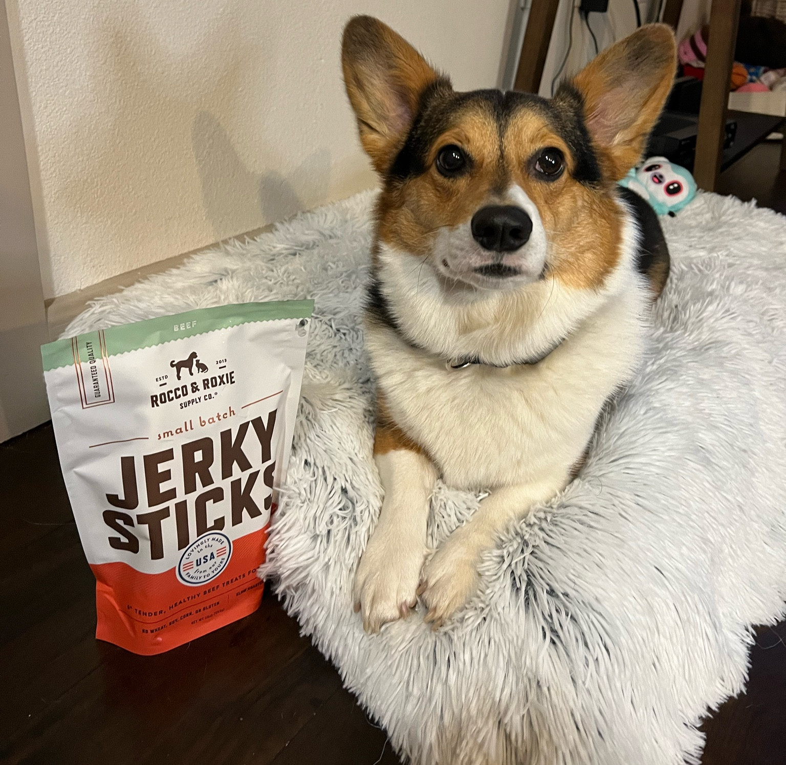 The best boy waiting for the best treat 


#LTKfindsunder100 #LTKfindsunder50 #LTKGiftGuide