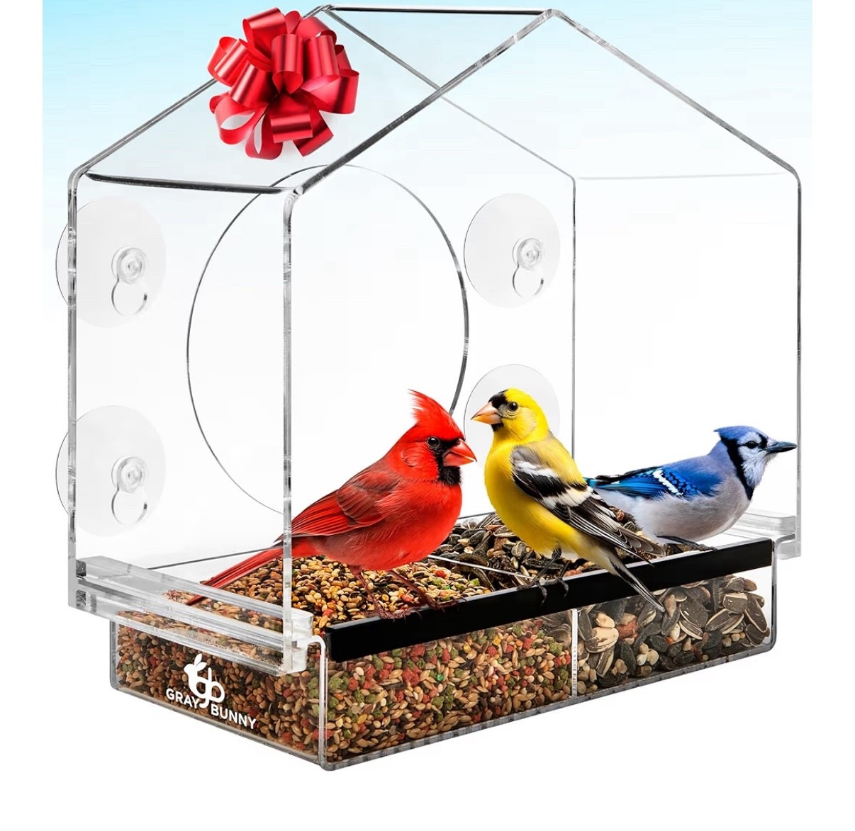 #birds #birdhouse #birdfeeder #wildbirds #windowbirdhouse