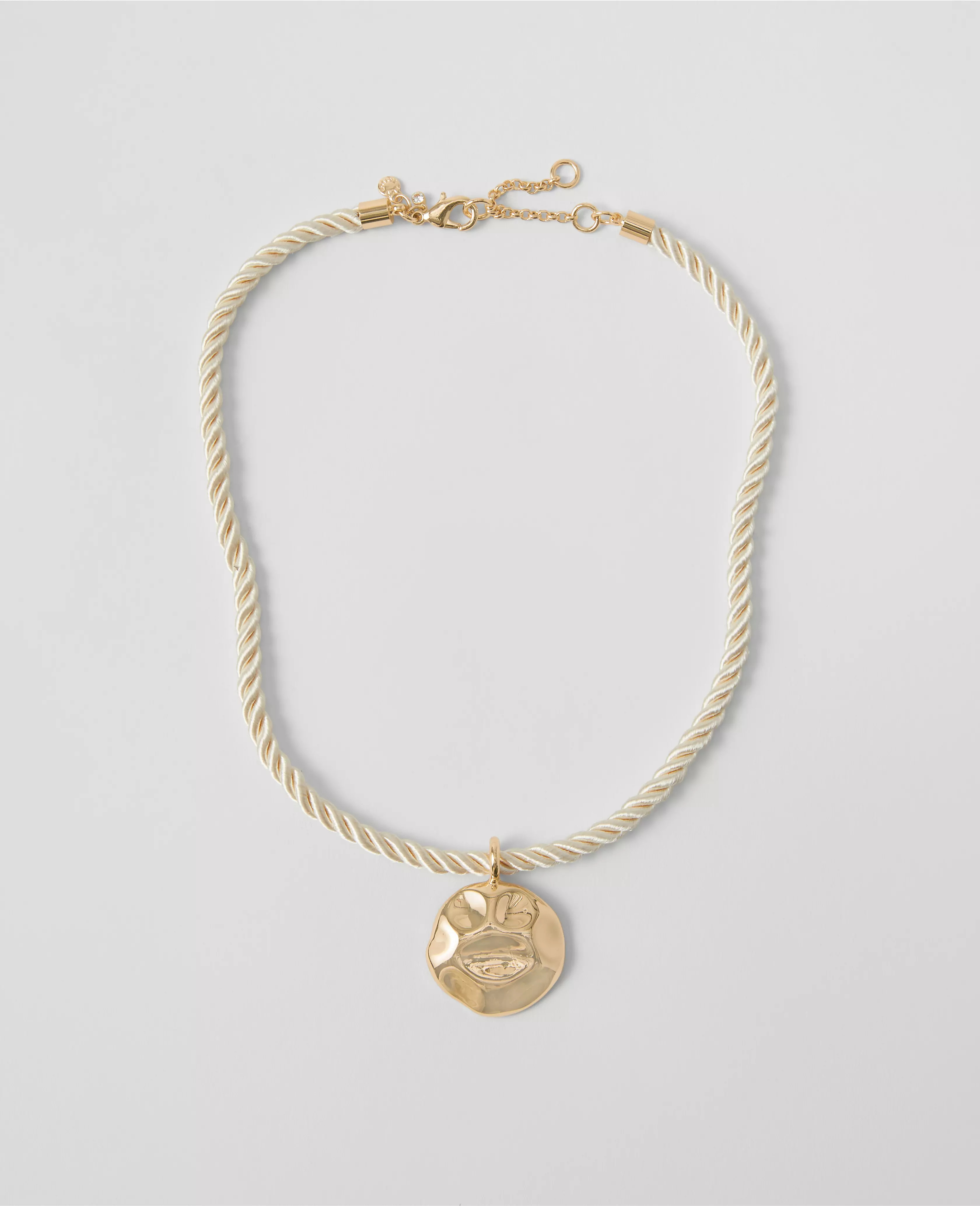 Metal Rope Pendant Necklace | Ann Taylor