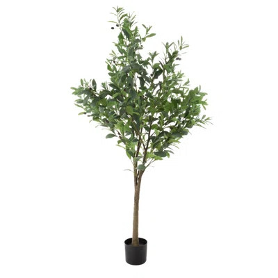 Artificial Olive Tree - 6-Foot Potted Faux Plant with Fruit for Home or Office Decoration - Natural Looking Polyester Leaves | Wayfair North America