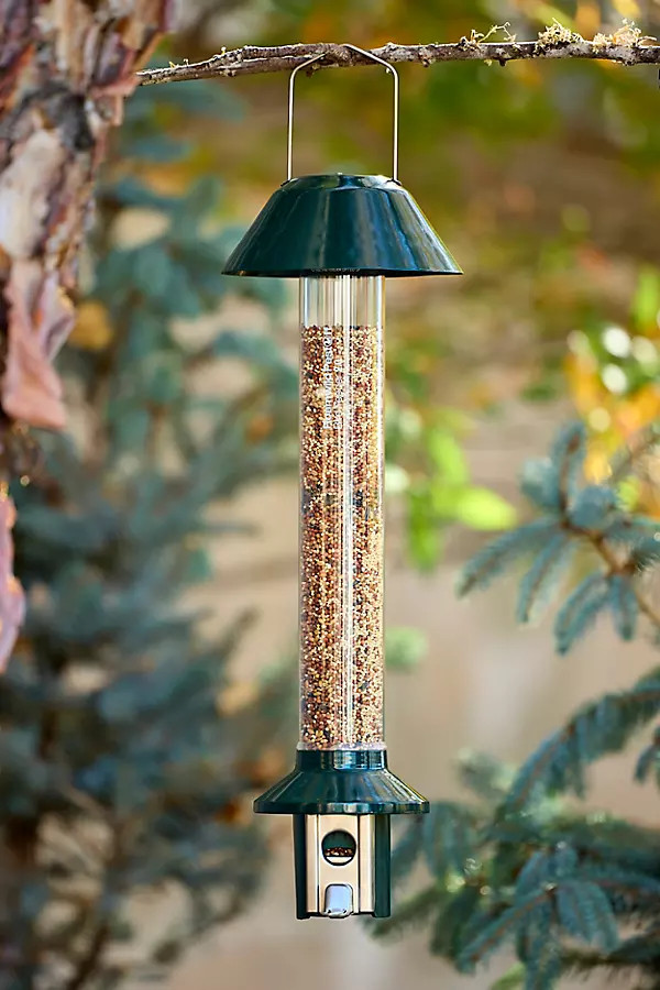 PestOff Squirrel Proof Bird Feeder | Anthropologie (US)