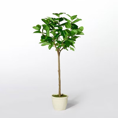 Ficus Tree - Threshold™ designed with Studio McGee | Target