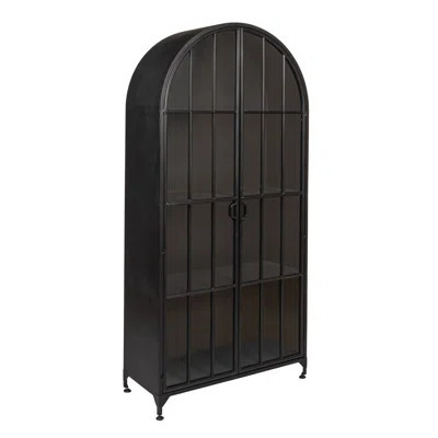 Arched Metal Curio Cabinet | Wayfair North America