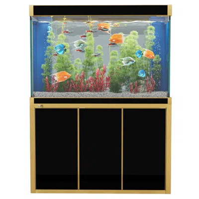 50 Gallons Rectangle Aquarium Tank | Wayfair North America