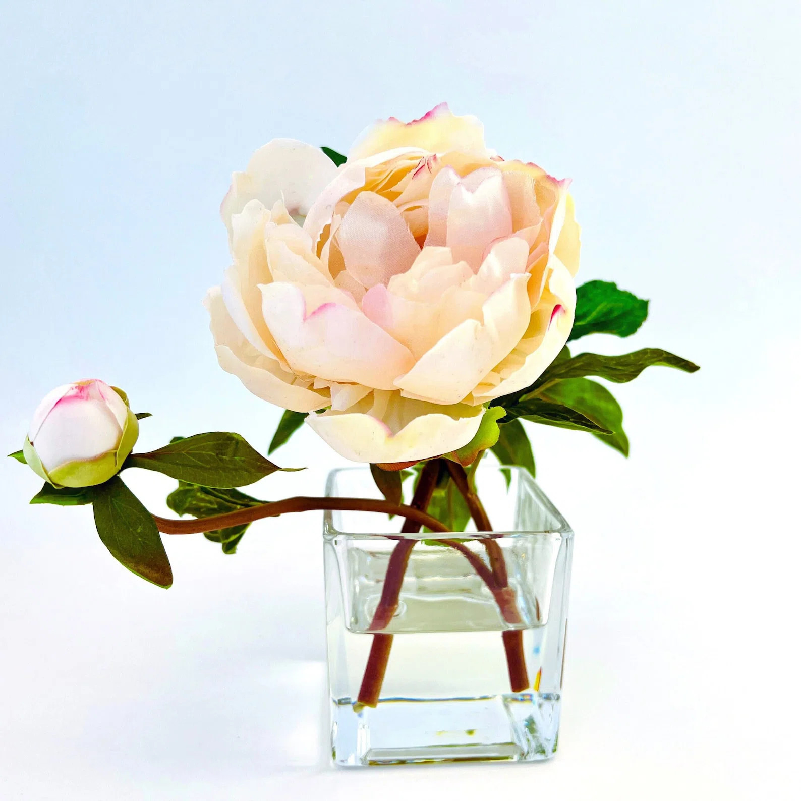 Silk Peony Arrangement in Vase | Wayfair North America