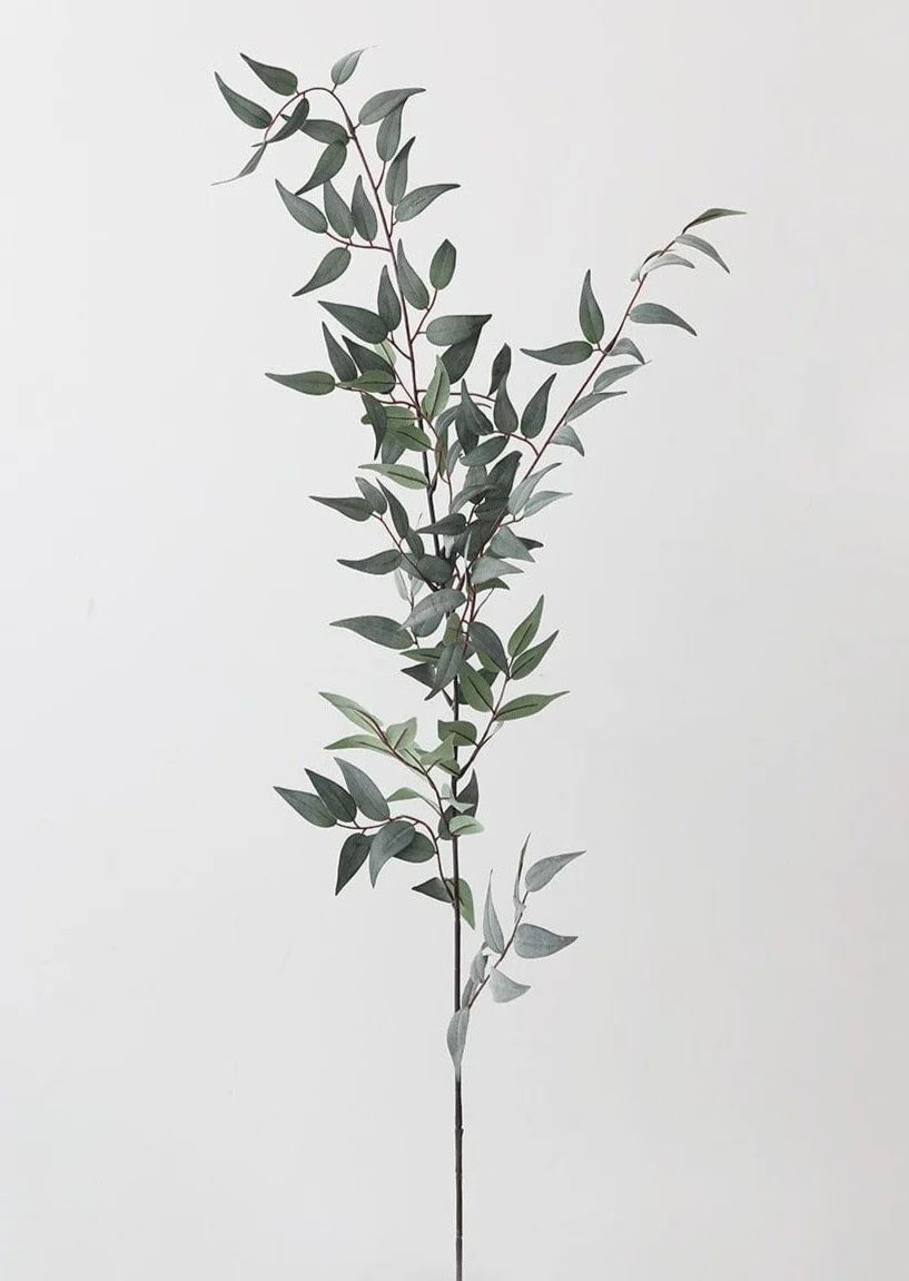 Artificial Leaves Italian Ruscus Branch - 49" | Afloral