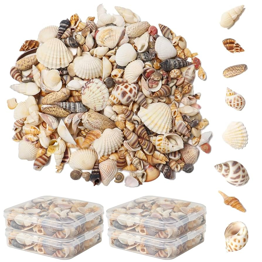 Ira Pollitt Tiny Natural Mixed Ocean Sea Shells Tiny Miniature Beach Critter Seashells Variety Be... | Amazon (US)