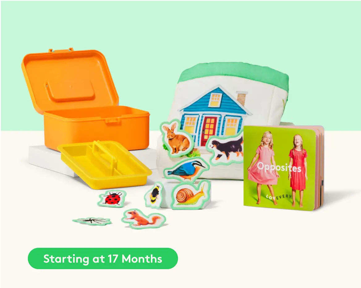 Toddler Sort & Match Mini Kit | Sorting Toys & Matching Games for 17+ Months Old | Lovevery | LOVEVERY