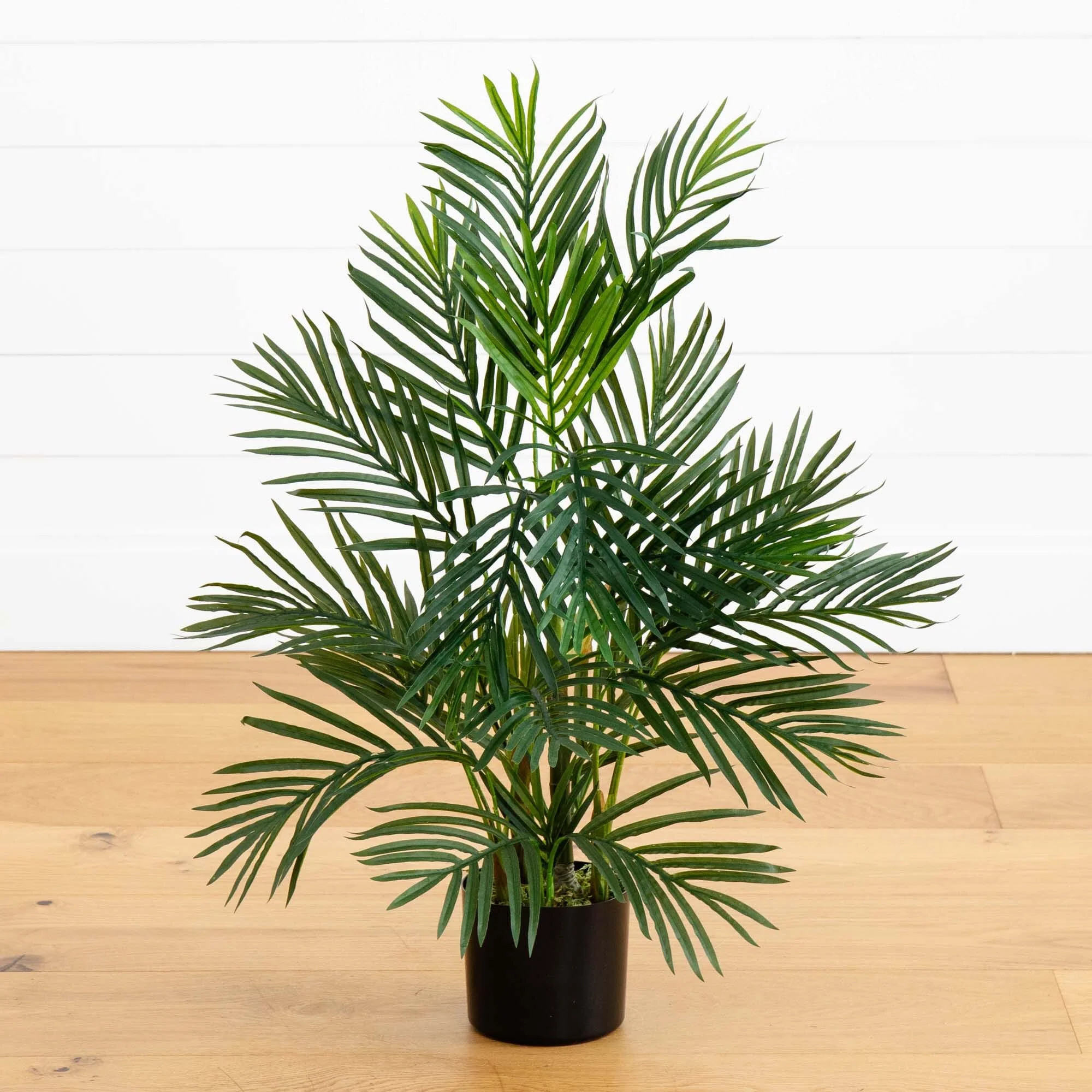 2.5' Areca Palm Tree UV Resistant (Indoor/Outdoor) | Nearly Natural | Nearly Natural
