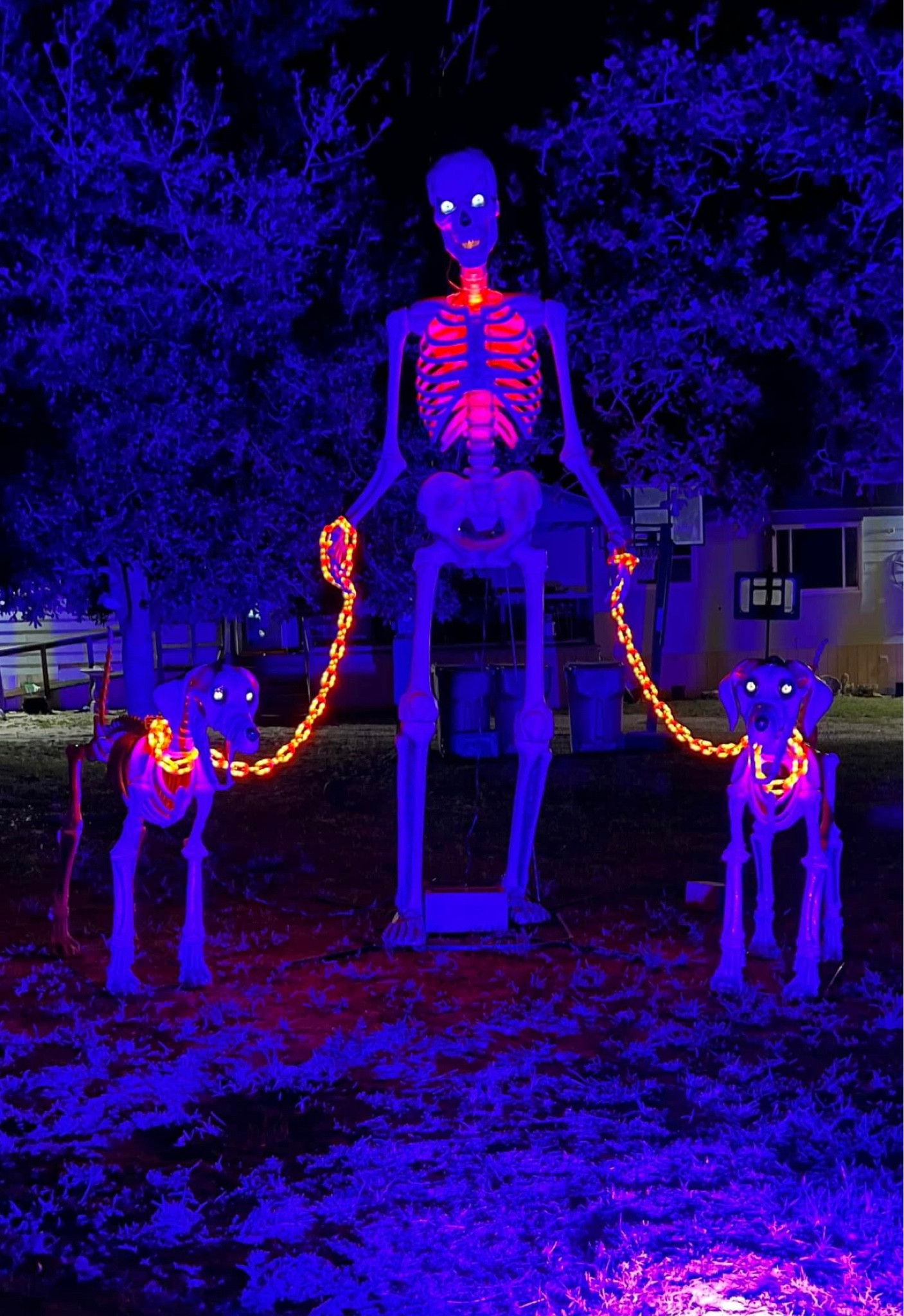 The coolest outdoor Halloween decor!!! The “leashes” are from amazon!!! 

#LTKFindsUnder50 #LTKFindsUnder100 #LTKHome