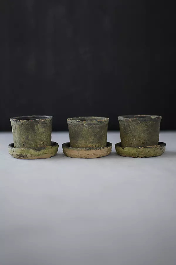 Earth Fired Clay Mini Pot + Saucer, Set of 3 | Anthropologie (US)