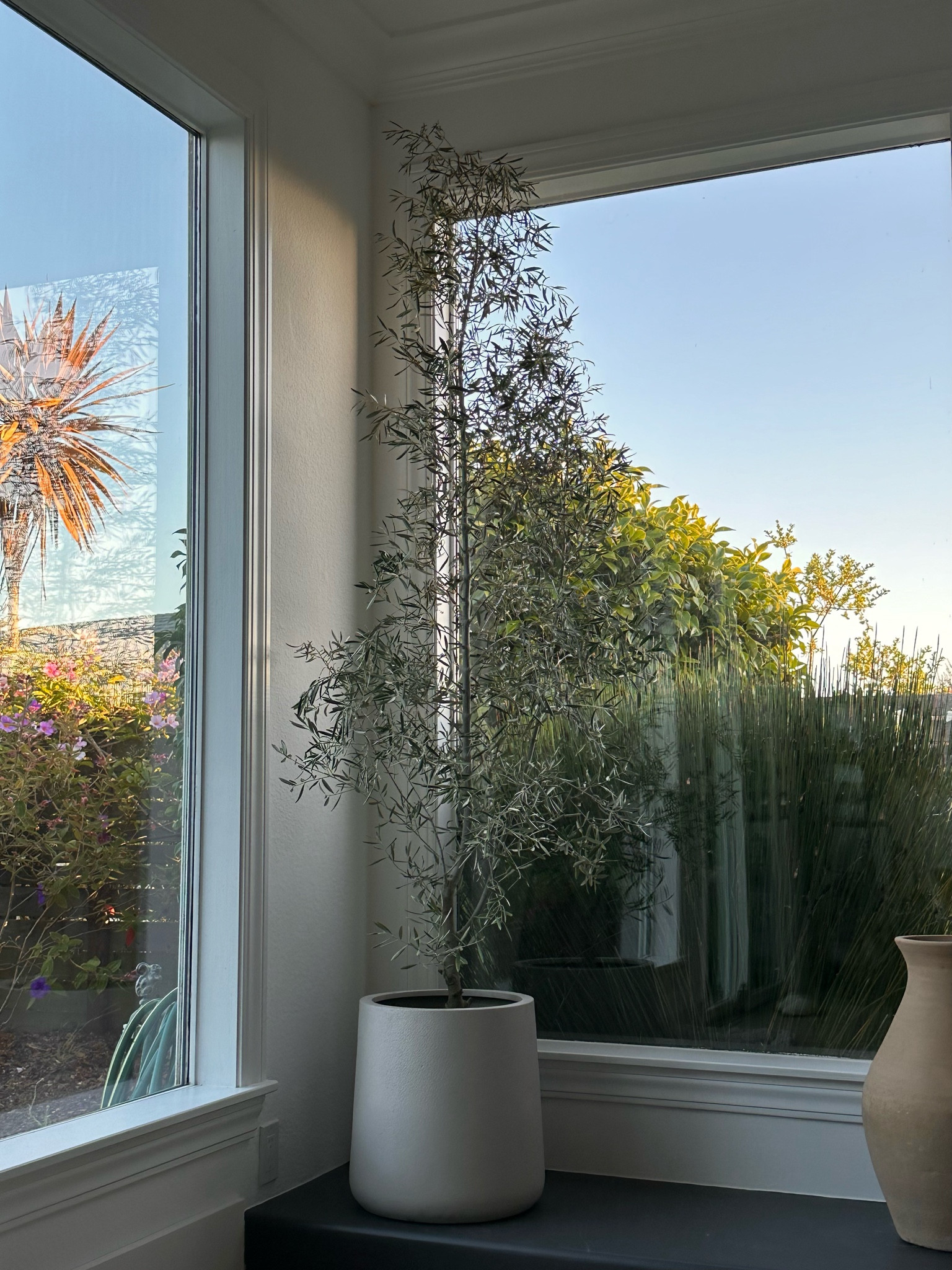Large planter for our olive tree. Love the concrete look of this! Comes with a drainage hole/plug too. 

#LTKStyleTip #LTKHome