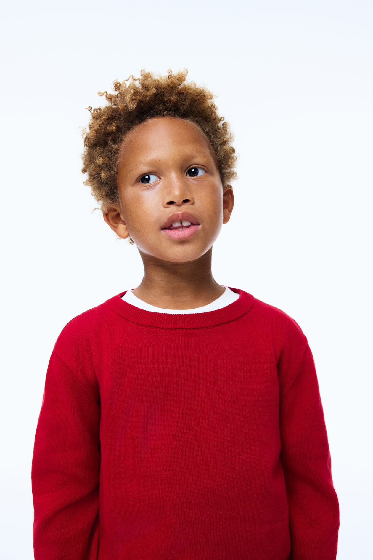 Cotton Sweater | H&M (US + CA)