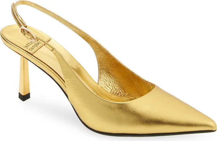 Gambol Slingback Pointed Toe Pump (Women) | Nordstrom