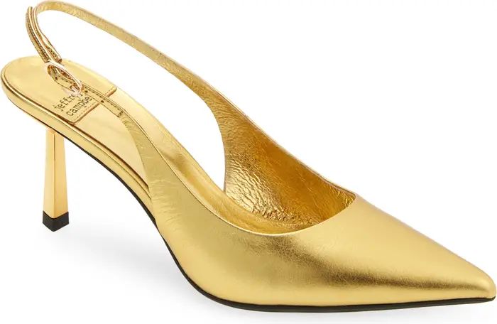 Gambol Slingback Pointed Toe Pump (Women) | Nordstrom