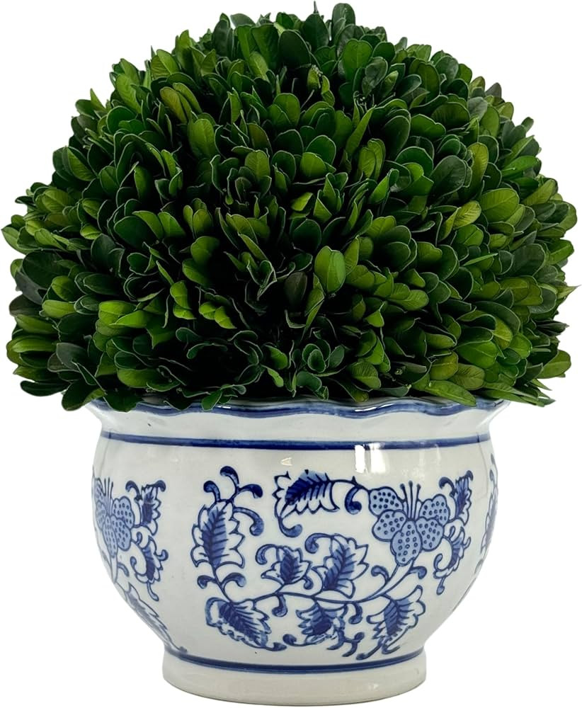 Galt International 9.5" Naturally Preserved Real Boxwood Ball in Hand-Painted Round Bulb Blue & W... | Amazon (US)