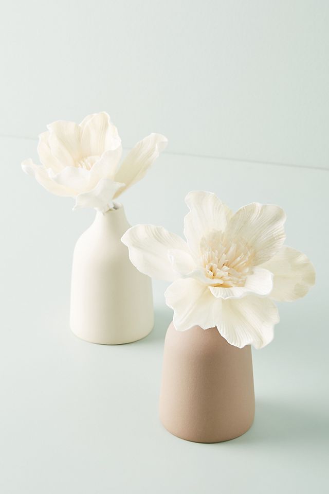 Bloom Fragrance Diffuser Set | Anthropologie (US)