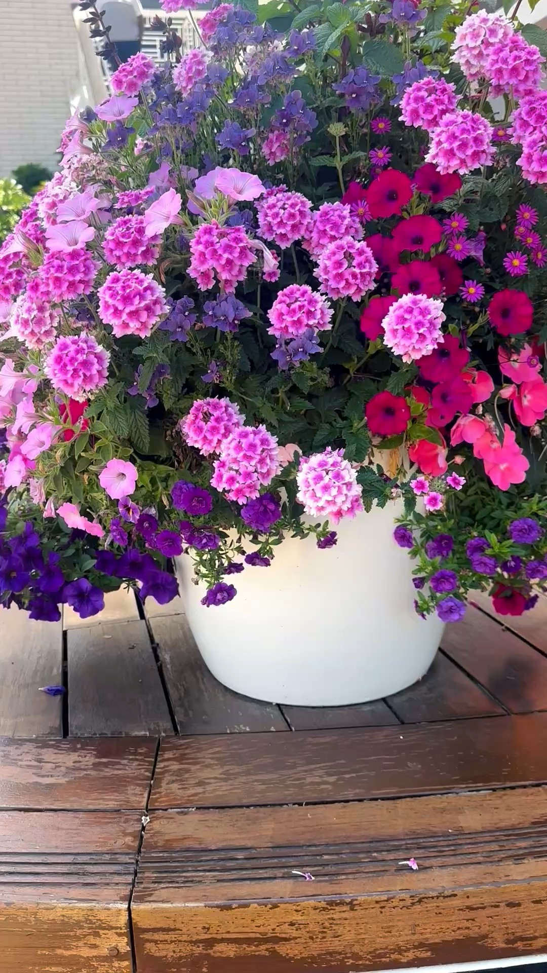 A Morning Mood

Sometimes it’s not the coffee.

Sometimes it’s a row of flowers in full bloom that completely changes the mood. 🌸

Layers of pinks, purples, and vibrant blooms creating the kind of beauty that makes you slow down and enjoy the moment.

Shop outdoor planters, garden décor, and entertaining essentials.

#outdoorplanter #gardenplanter #blooms #gardenstyle #outdoorliving #gardeninspiration #summergarden #flowers #patiodecor

#LTKdayinmylife #LTKHome #LTKSaleAlert