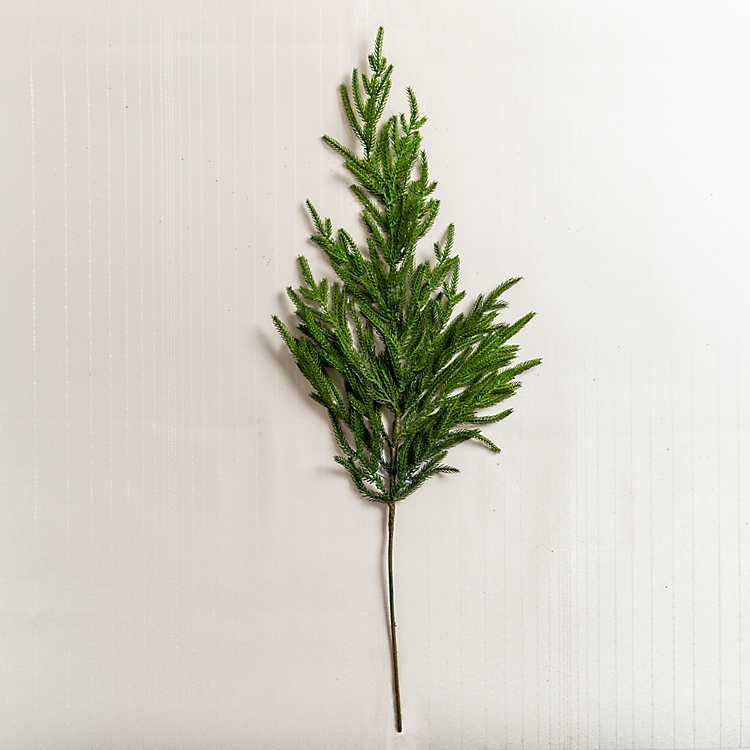 Real-Touch Norfolk Pine Stem | Kirkland's Home