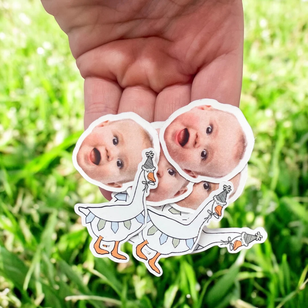 Silly Goose Confetti and Table Decorations | One Silly Goose | Silly Goose Birthday Party | Silly... | Etsy (US)