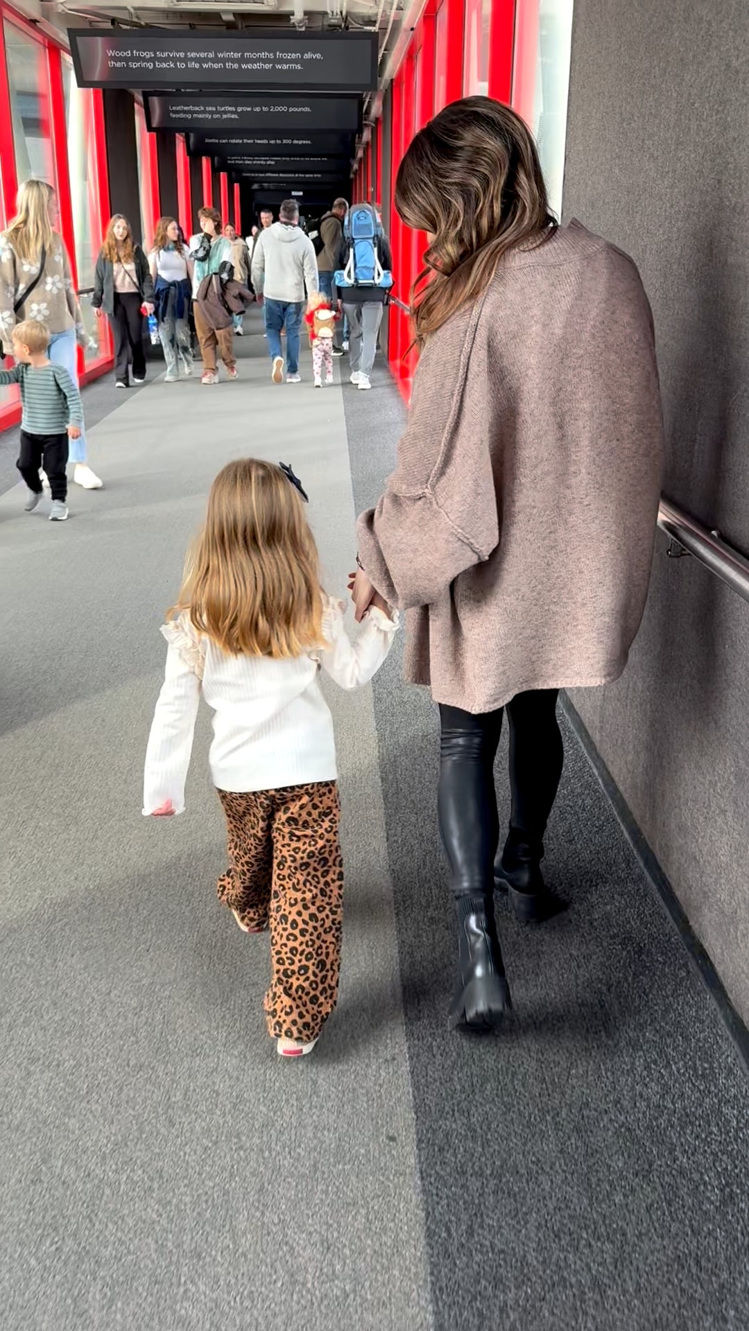 What I wore to the aquarium today 