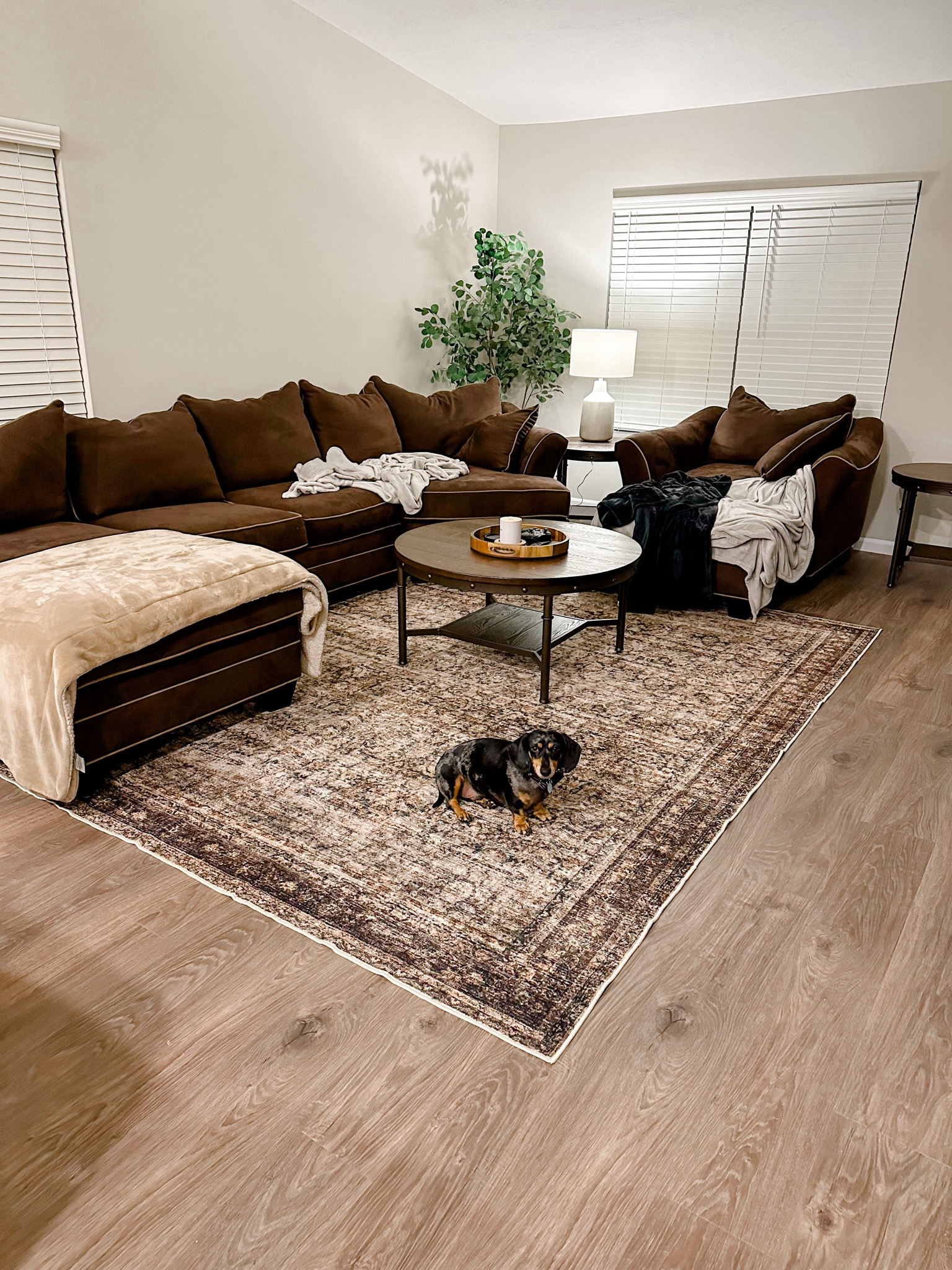 Rental is slowly coming together with the help of this rug🎉

#LTKFindsUnder100 #LTKFindsUnder50 #LTKHome