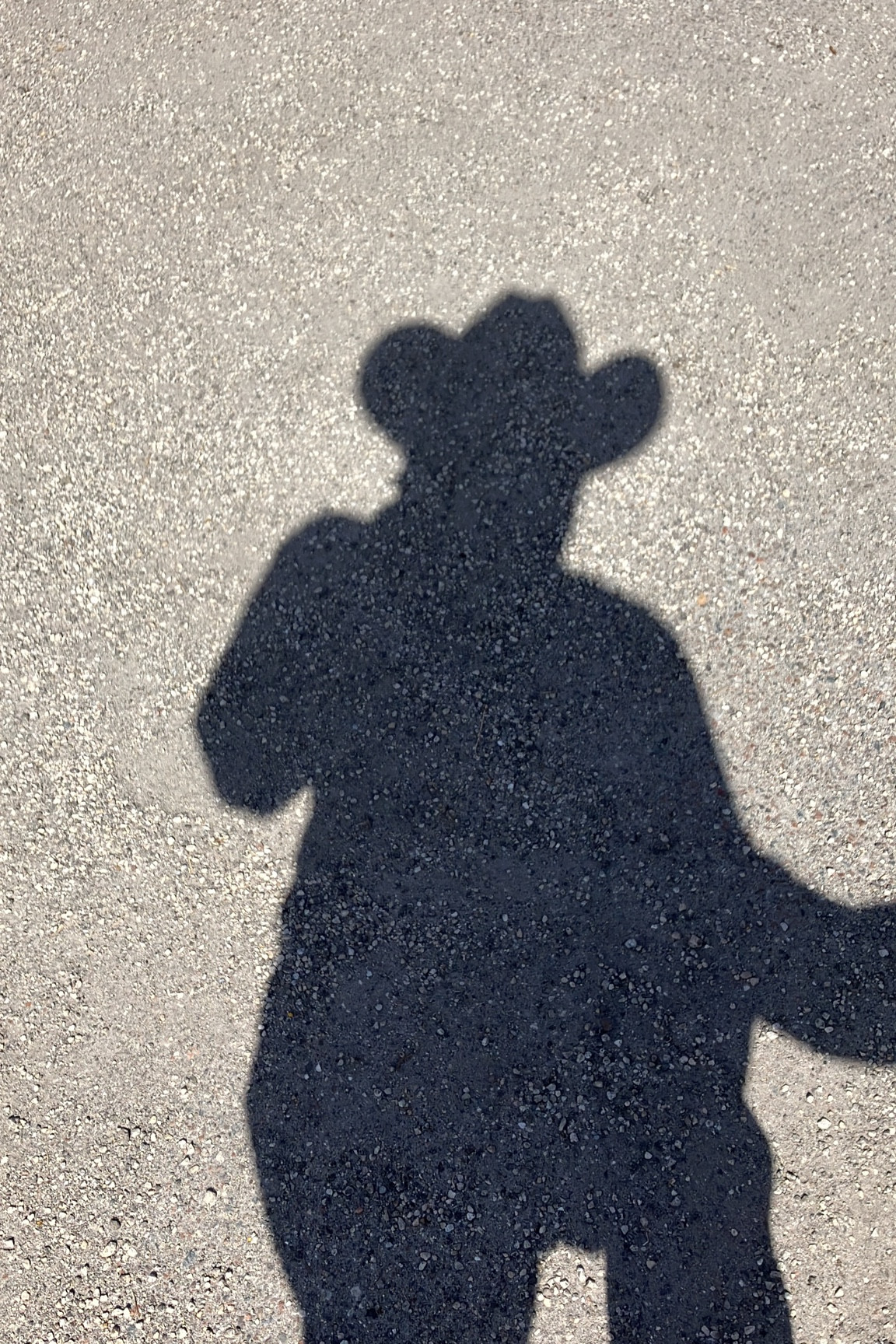 county fair 🤠

#LTKGiftGuide #LTKSeasonal #LTKStyleTip