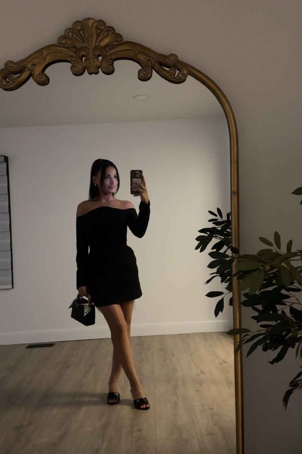 Revolve Black Long Sleeve Mini Dress 

#LTKStyleTip #LTKBeauty