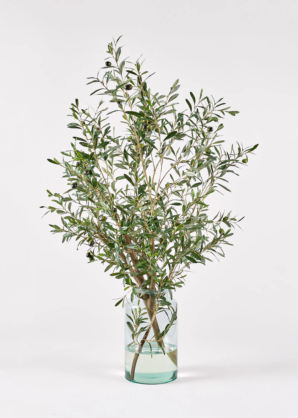 Olive Branch in Glass Vase | Shop Faux Olive Branches at Afloral.com | Afloral